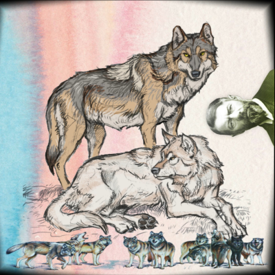episode AKP ve MHP'nin Protestan Ahlakı: Milliyetçiliğin 50 Tonu #MaxWeber #püritenasketizm #kapitalizmruhu artwork