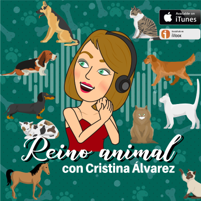 episode Reino Animal, el amor por los animales y la naturaleza artwork