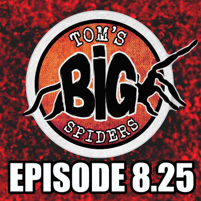 episode The Best Non-Tarantula Spiders for the First Time Keeper artwork
