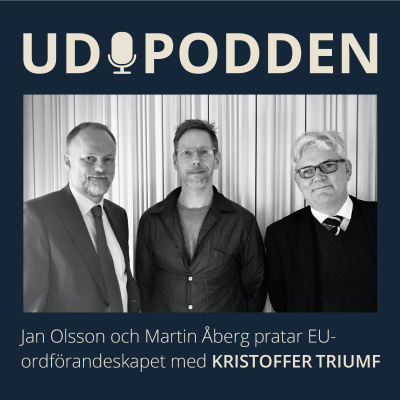 episode #40 Halvvägs igenom svenska EU-ordförandeskapet artwork