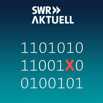 SWR Aktuell Netzagent