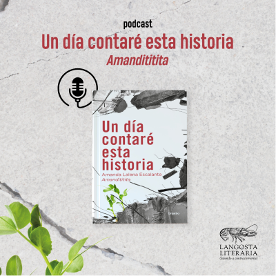 episode Un día contaré esta historia, Amandititita artwork