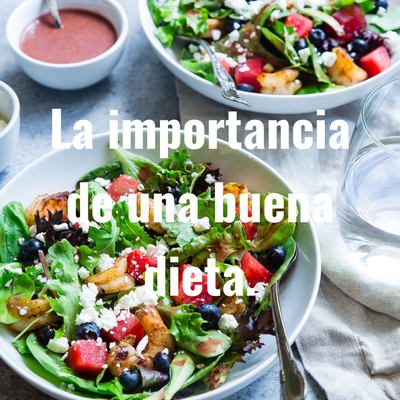 UNA BUENA DIETA.