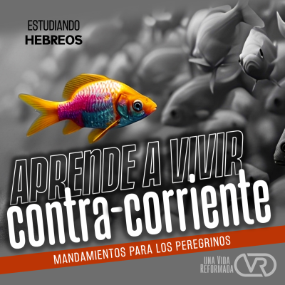 episode Aprende a vivir CONTRACORRIENTE artwork