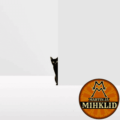 episode Martin ja mihklid #2 - Maarja Mitt-Pichen artwork