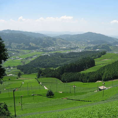 和束の茶々茶～茶源郷ものがたり - FM79.7MHz京都三条ラジオカフェ：放送
