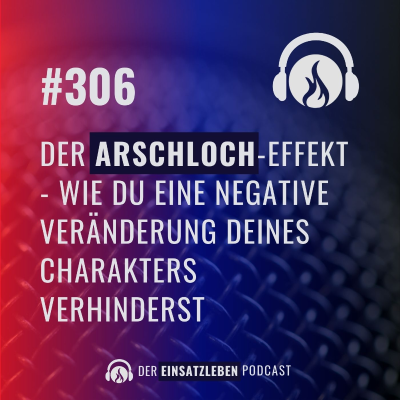 episode Der Arschloch-Effekt artwork