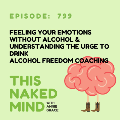 episode Feeling Your Emotions Without Alcohol | Understanding the Urge to Drink | Alcohol Freedom Coaching | E799 artwork