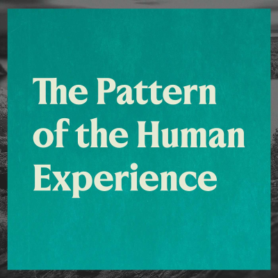 episode The Pattern of the Human Experience artwork