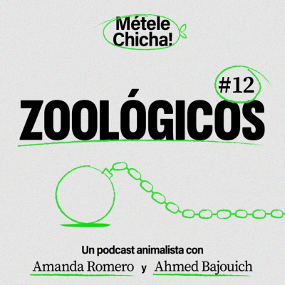 episode Métele chicha - Zoológicos artwork