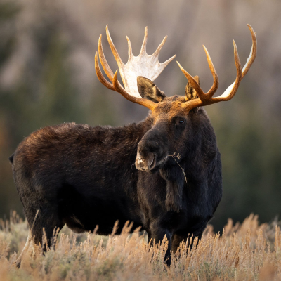 episode Episode 70 artwork