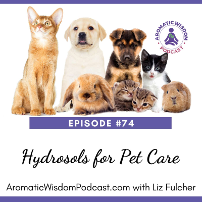 episode 74: 10 Ways to Use Hydrosols for Pet Care artwork