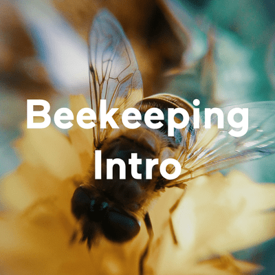 Beekeeping Intro