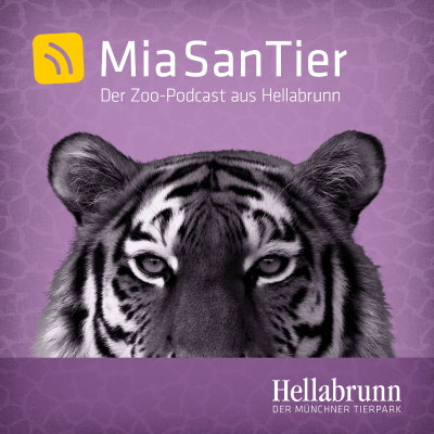 episode Interagieren Tiere mit Besuchern? artwork