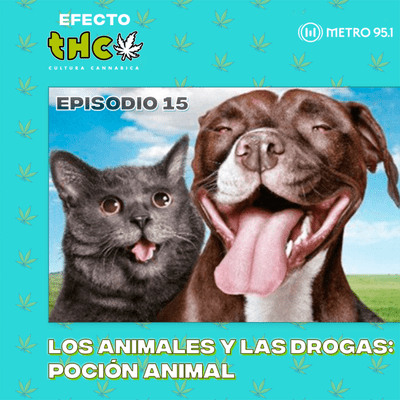 episode Los animales y las drogas: poción Animal artwork