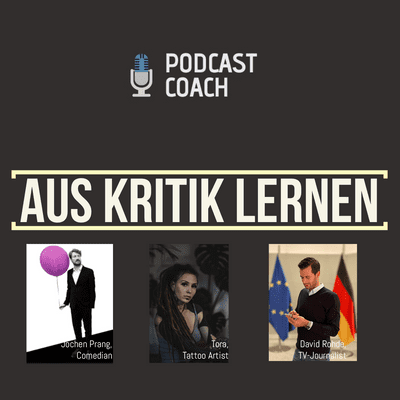 episode Aus Kritik lernen artwork