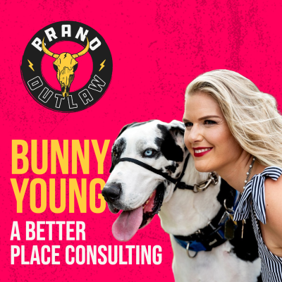 episode Stuntwoman Turned Businesswoman: Bunny Young, A Better Place Consulting artwork