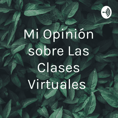 Mi Opinión sobre Las Clases Virtuales