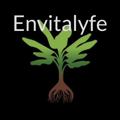 Envitalyfe | Environmental