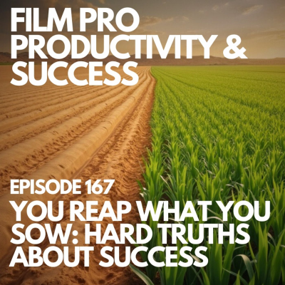 episode YOU REAP WHAT YOU SOW: HARD TRUTHS ABOUT SUCCESS #167 artwork