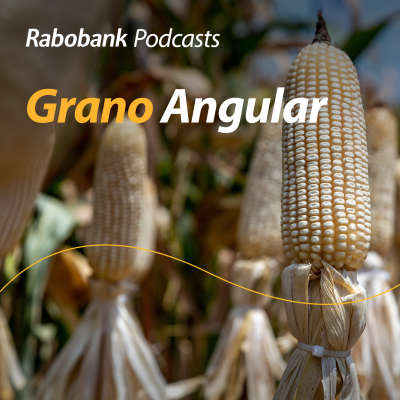 episode Avanza trilla en Sinaloa, pecuarios, granos y las 5 breves artwork