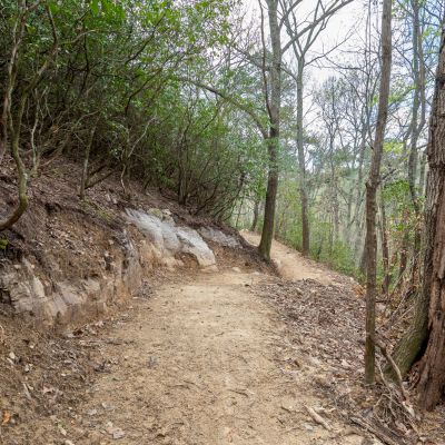 episode Mountain bike trail building and development are going platinum artwork