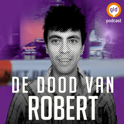 episode De dood van Robert #4,5 - Tussenaflevering artwork