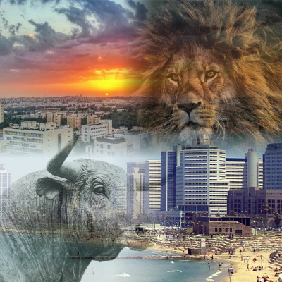episode TNS 129: Son of a National Hero (with Yair Shamir) artwork