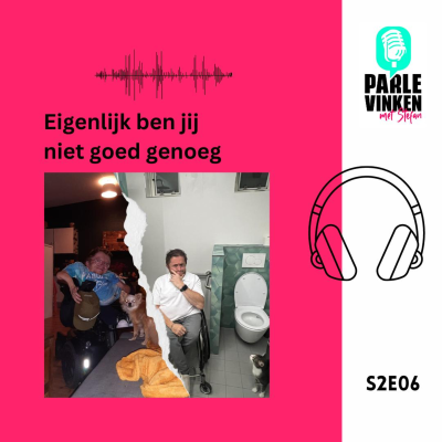 episode S2E06 - Eigenlijk ben jij niet goed genoeg artwork