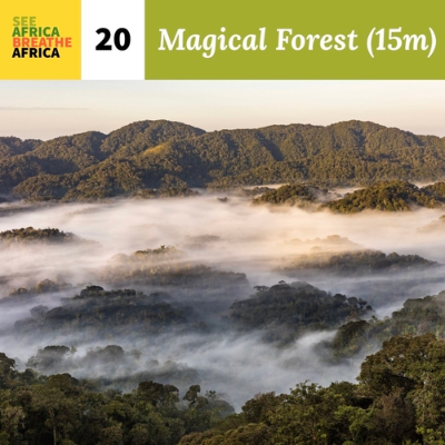 episode #20 The Magical Forest of Nyungwe & Mt Sabyinyo artwork