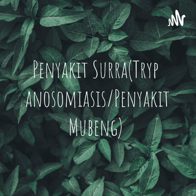 Penyakit Surra(Trypanosomiasis/Penyakit Mubeng)