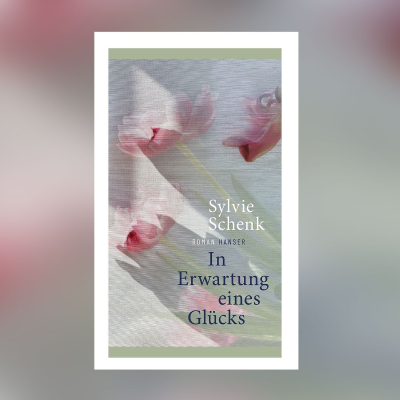 episode Schonungslos und anrührend: Sylvie Schenks neuer Roman „In Erwartung eines Glücks“ artwork