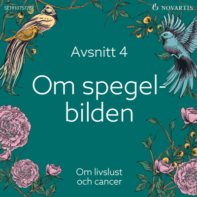 episode Om spegelbilden artwork