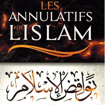 episode Nawaqid Al-islam 08_Abou ibrahim Souleyman Diallo artwork