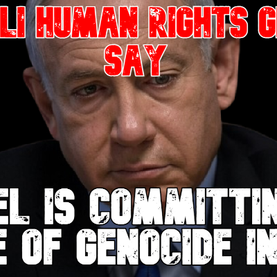 episode Israeli Human Rights Groups Say Israel Is Committing the Crime of Genocide in Gaza artwork