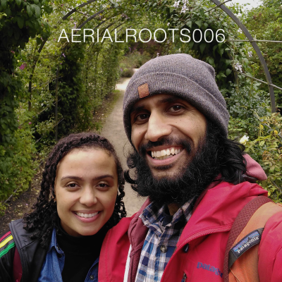 episode AERIALROOTS006 artwork