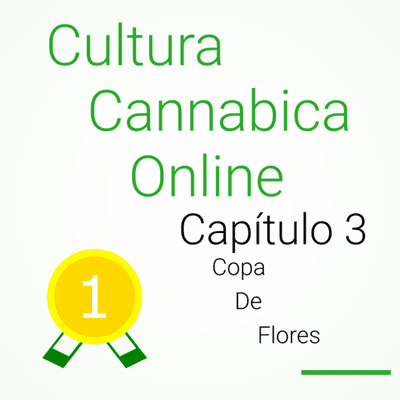 episode Capítulo 3: Copa de flores artwork