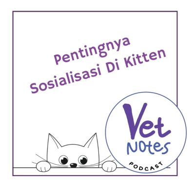 episode Pentingnya Sosialisasi Di Kitten Agar Kucing Tidak Agresif artwork