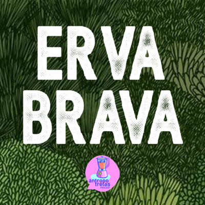 episode ERVA BRAVA – teaser artwork
