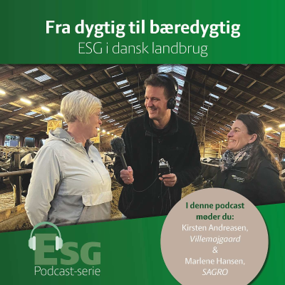 episode Fra dygtig til bæredygtig #2 – Fra ESG-rapport til handling artwork