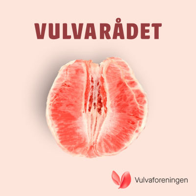 Vulvarådet