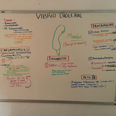 episode 🦪➖❤️ VIBRIO CHO🍆ERAE artwork