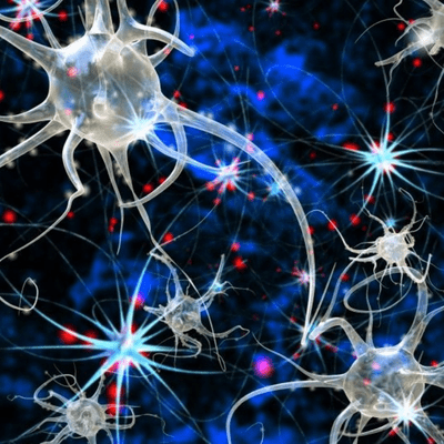 episode Actividad 5 - Creación de un podcast de corte científico sobre las neuronas artwork