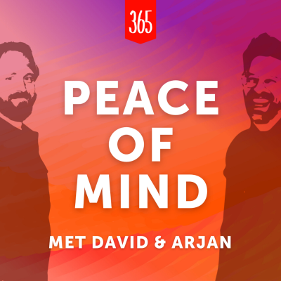 Imagen de portada del espectáculo 365 Dagen Succesvol Podcast