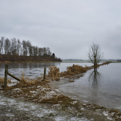 episode Predigt Zschocken 03.12.23 (1. Advent) - Auf die Flut vorbereitet? artwork