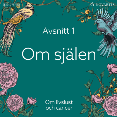 episode Om själen artwork