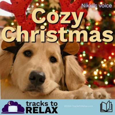 episode Cozy Christmas Bedtime Story artwork