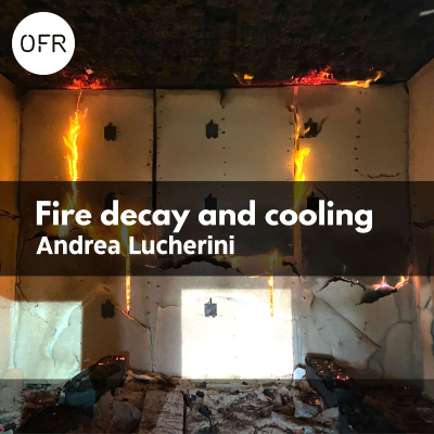 episode 218 - Fire decay and cooling phases with Andrea Lucherini artwork