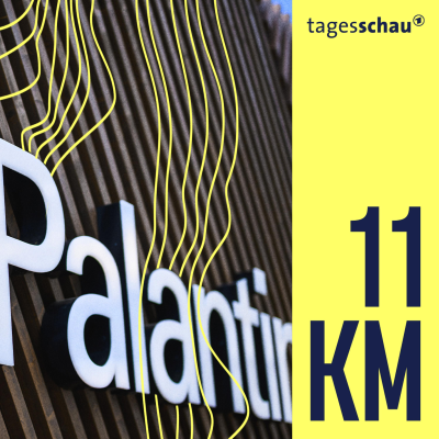 episode Umstrittene Software: Wie nutzt die Polizei Palantir? artwork