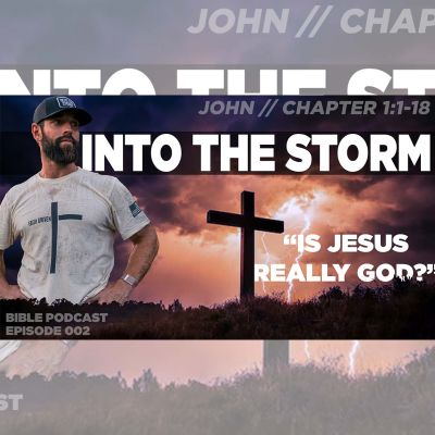 episode INTO THE STORM | John Chapter 1:1-18 artwork